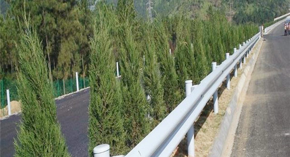 ���λ����塢�����辶����������������pg�齫���˼ӹ�����