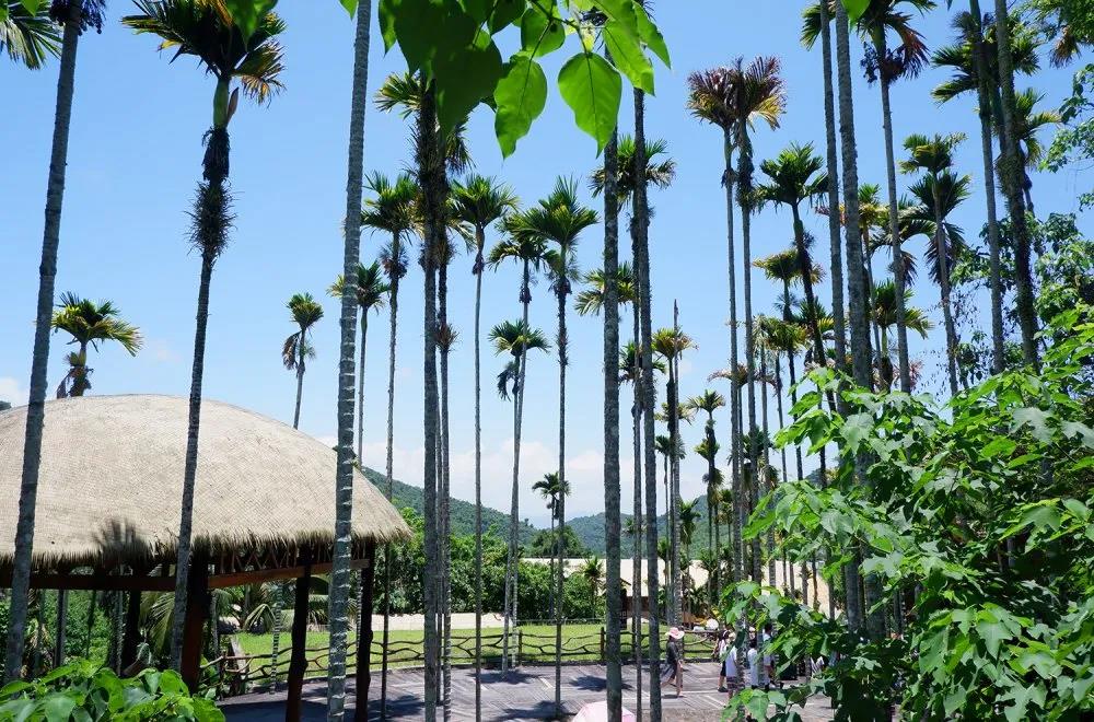 pg�齫���˿عɼ���