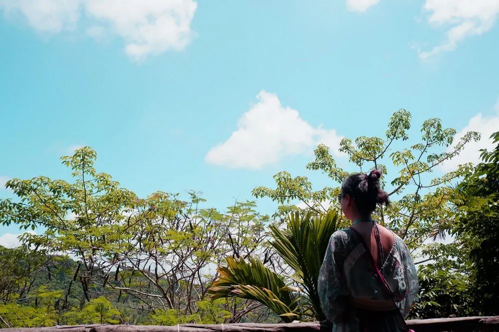 pg�齫���˿عɼ���