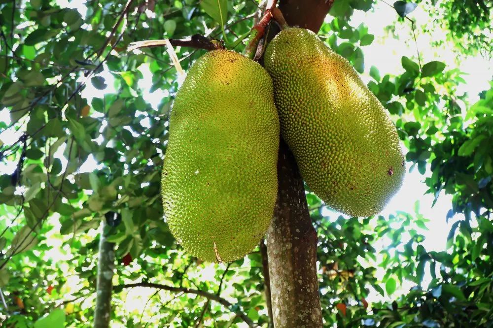 pg�齫����(�ٷ���)�ƽ�/����/���ֹٷ���վ